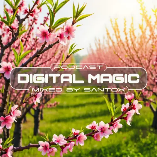 Digital Magic by Santox