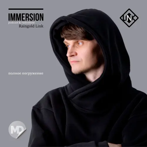 Immersion by LINK